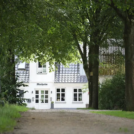 Hof Maiholm - Heuboden Apartment Medelby